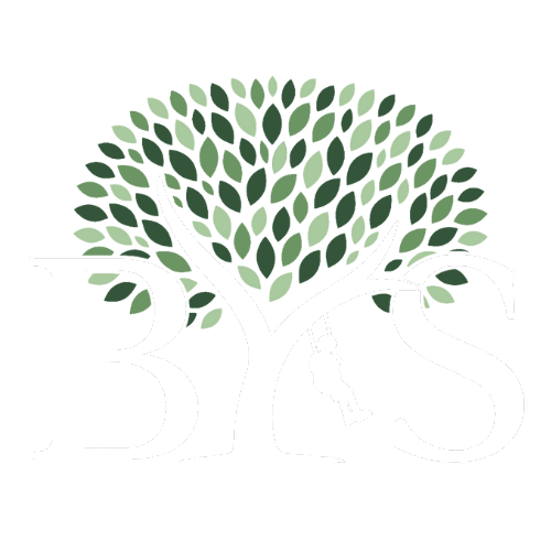 Beloved Youth Services